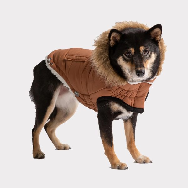 GF Pet ElastoFit Urban Dog Parka Online