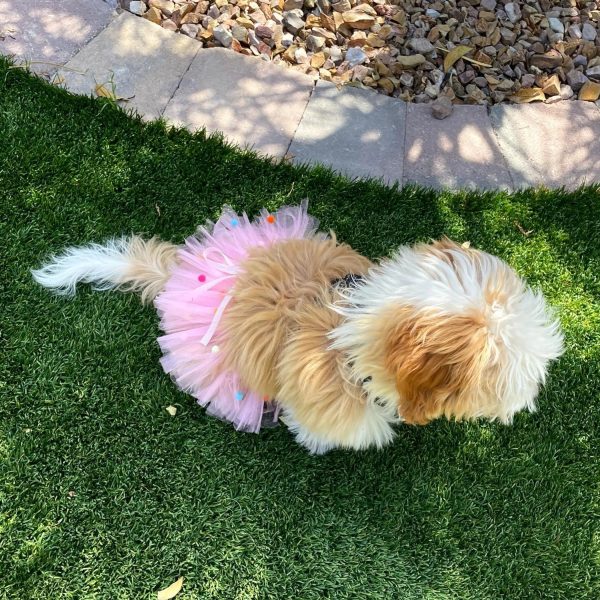 Pink Pom Pom Dog Tutu Skirt (XS) Online now